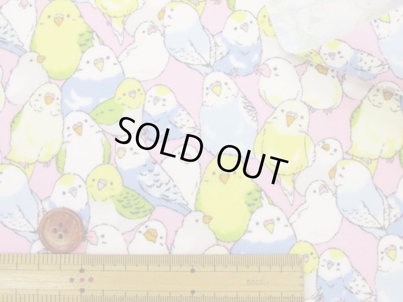 画像7: インコ大集合 インコ 鳥柄 オックス生地 ラミネート つや消し (7)