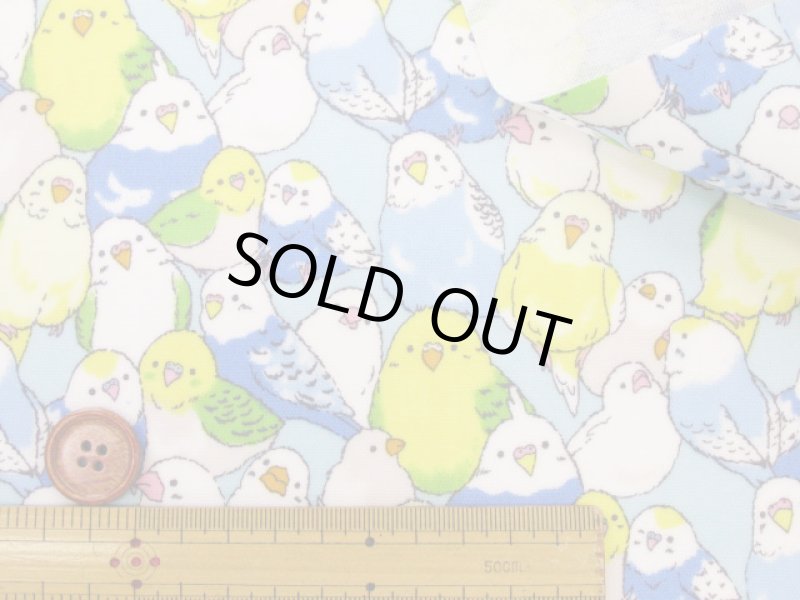 画像10: インコ大集合 インコ 鳥柄 オックス生地 ラミネート つや消し (10)