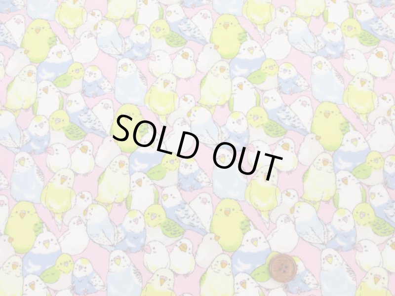 画像6: インコ大集合 インコ 鳥柄 オックス生地 ラミネート つや消し (6)