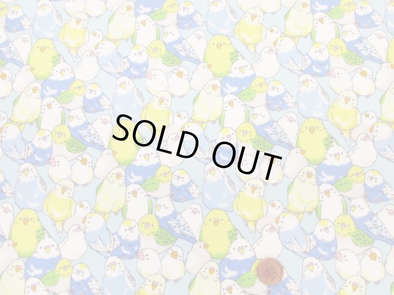 画像9: インコ大集合 インコ 鳥柄 オックス生地 ラミネート つや消し (9)