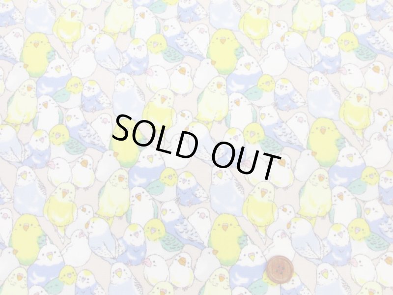 画像3: インコ大集合 インコ 鳥柄 オックス生地 ラミネート つや消し (3)