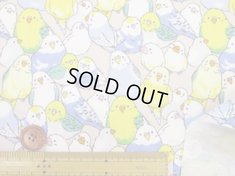 画像4: インコ大集合 インコ 鳥柄 オックス生地 ラミネート つや消し (4)