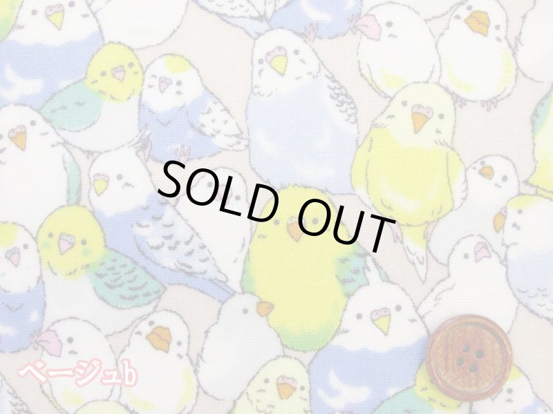 画像2: インコ大集合 インコ 鳥柄 オックス生地 ラミネート つや消し (2)