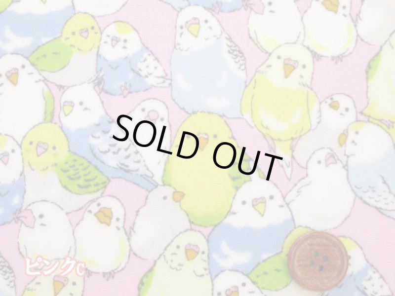 画像5: インコ大集合 インコ 鳥柄 オックス生地 ラミネート つや消し (5)