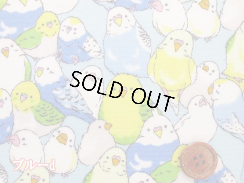 画像8: インコ大集合 インコ 鳥柄 オックス生地 ラミネート つや消し (8)