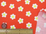 画像13: ポップカラー　フェミニンフラワー　フワラー・花柄　オックス生地 ラミネート　つや消し (13)