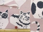 画像10: NekoNoe K from 30 SEWINGPINS ×echino　CATCAT　ネコ・猫・大柄　綿麻キャンバス生地 (10)