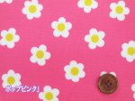 画像2: ポップカラー　フェミニンフラワー　フワラー・花柄　オックス生地 ラミネート　つや消し (2)