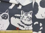 画像7: NekoNoe K from 30 SEWINGPINS ×echino　CATCAT　ネコ・猫・大柄　綿麻キャンバス生地 (7)
