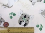 画像4: 可愛いコアラ　コアラ・動物柄　オックス生地 (4)