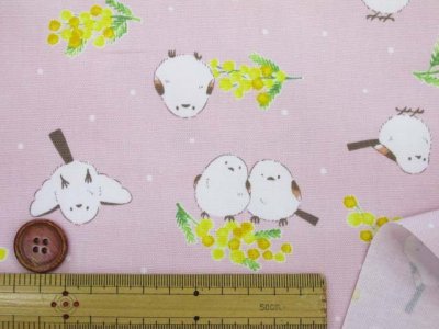 画像2: ミモザとシマエナガ　ミモザ・シマエナガ・鳥柄　オックス生地　コスモテキスタイル
