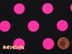 画像2: ブラックベース　蛍光カラー　ネオン　20mmドット　ドット・水玉柄　オックス生地 (2)