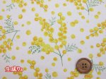 画像2: ミモザ　フラワー・花柄　オックス生地　オックス生地 (2)