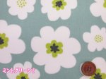 画像5: 新色追加!! ファンシーポップフラワー フラワー・花柄 オックス生地　ラミネート　つや消し (5)