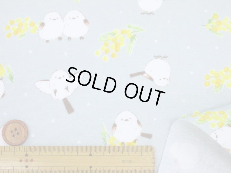 画像10: ミモザとシマエナガ　ミモザ・シマエナガ・鳥柄　オックス生地 ラミネート　つや消し　コスモテキスタイル (10)