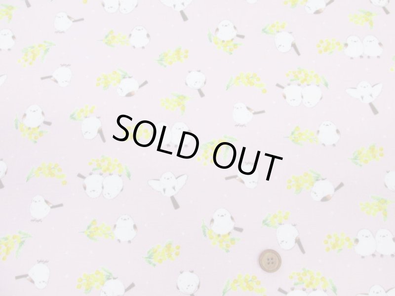 画像6: ミモザとシマエナガ　ミモザ・シマエナガ・鳥柄　オックス生地 ラミネート　つや消し　コスモテキスタイル (6)