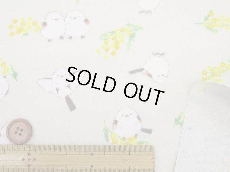 画像4: ミモザとシマエナガ　ミモザ・シマエナガ・鳥柄　オックス生地 ラミネート　つや消し　コスモテキスタイル (4)