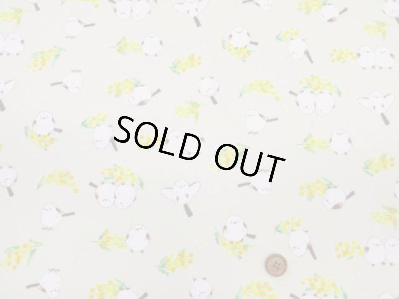 画像3: ミモザとシマエナガ　ミモザ・シマエナガ・鳥柄　オックス生地 ラミネート　つや消し　コスモテキスタイル (3)