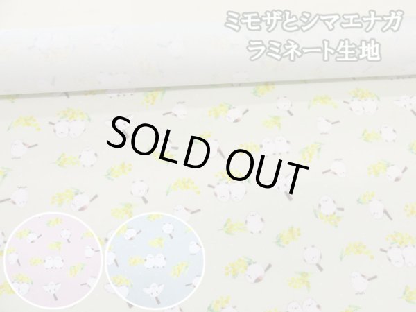 ミモザとシマエナガ ミモザ・シマエナガ・鳥柄 オックス生地