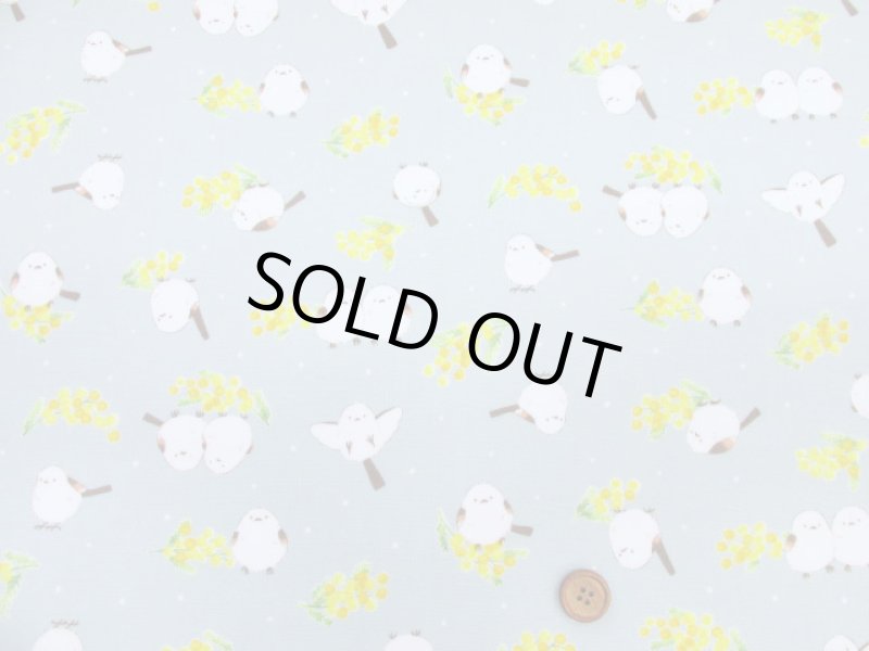 画像9: ミモザとシマエナガ　ミモザ・シマエナガ・鳥柄　オックス生地 ラミネート　つや消し　コスモテキスタイル (9)