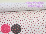 画像1: ストロベリーポップ イチゴ・苺柄 シーチング生地 ラミネート つや消し (1)