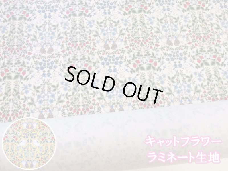 画像1: キャットフラワー ネコ・ダマスク・花柄 コットンリネンキャンバス生地 ラミネート つや消し (1)
