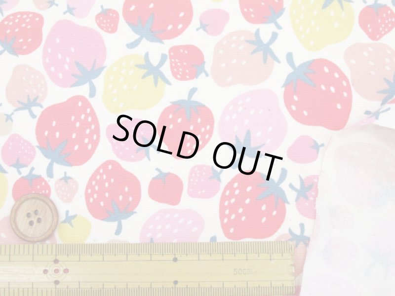 画像4: イチゴパーティー　イチゴ・いちご柄　オックス生地 (4)