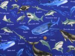 画像6: 海の生き物 サメ・クジラ・イルカ 海柄 オックス生地 (6)