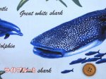 画像2: 海の生き物 サメ・クジラ・イルカ 海柄 オックス生地 (2)
