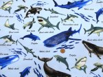 画像3: 海の生き物 サメ・クジラ・イルカ 海柄 オックス生地 (3)