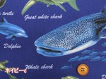 画像5: 海の生き物 サメ・クジラ・イルカ 海柄 オックス生地 (5)