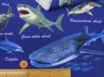 画像7: 海の生き物 サメ・クジラ・イルカ 海柄 オックス生地 (7)