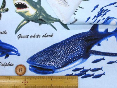 画像1: 海の生き物 サメ・クジラ・イルカ 海柄 オックス生地