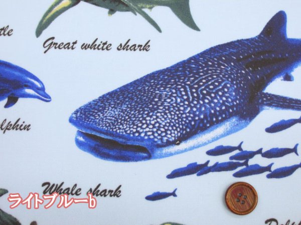 海の生き物 サメ・クジラ・イルカ 海柄 オックス生地 ラミネート つや消し