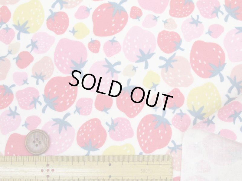 画像4: イチゴパーティー　イチゴ・いちご柄　オックス生地　ラミネート　つや消し (4)