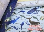 画像1: 海の生き物 サメ・クジラ・イルカ 海柄 オックス生地 ラミネート つや消し (1)