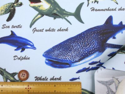 画像1: 海の生き物 サメ・クジラ・イルカ 海柄 オックス生地 ラミネート つや消し