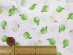 画像7: 可愛いりんご アップル・りんご柄 シーチング生地 コスモテキスタイル (7)