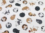 画像3: まんまるねこ 三毛猫・茶トラ・猫柄 オックス生地 コスモテキスタイル (3)