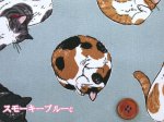 画像5: まんまるねこ 三毛猫・茶トラ・猫柄 オックス生地 コスモテキスタイル (5)