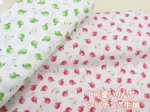 画像1: 可愛いりんご アップル・りんご柄 シーチング生地 コスモテキスタイル (1)