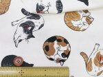 画像4: まんまるねこ 三毛猫・茶トラ・猫柄 オックス生地 コスモテキスタイル (4)