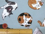 画像7: まんまるねこ 三毛猫・茶トラ・猫柄 オックス生地 コスモテキスタイル (7)