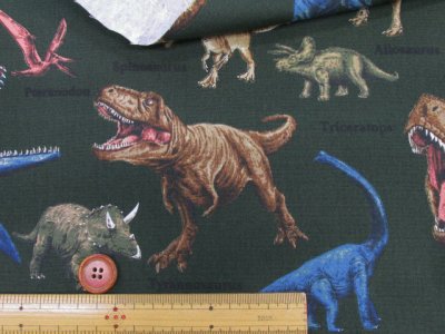 画像2: 恐竜図鑑 ダイナソー・恐竜柄 オックス生地