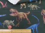 画像7: 恐竜図鑑　ダイナソー・恐竜柄　オックス生地 (7)