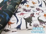 画像1: 恐竜図鑑　ダイナソー・恐竜柄　オックス生地 (1)
