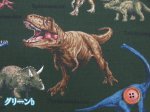 画像5: 恐竜図鑑　ダイナソー・恐竜柄　オックス生地 (5)