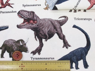 画像1: 恐竜図鑑 ダイナソー・恐竜柄 オックス生地