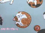 画像5: まんまるねこ 三毛猫・茶トラ・猫柄 オックス生地 ラミネート つや消し コスモテキスタイル (5)