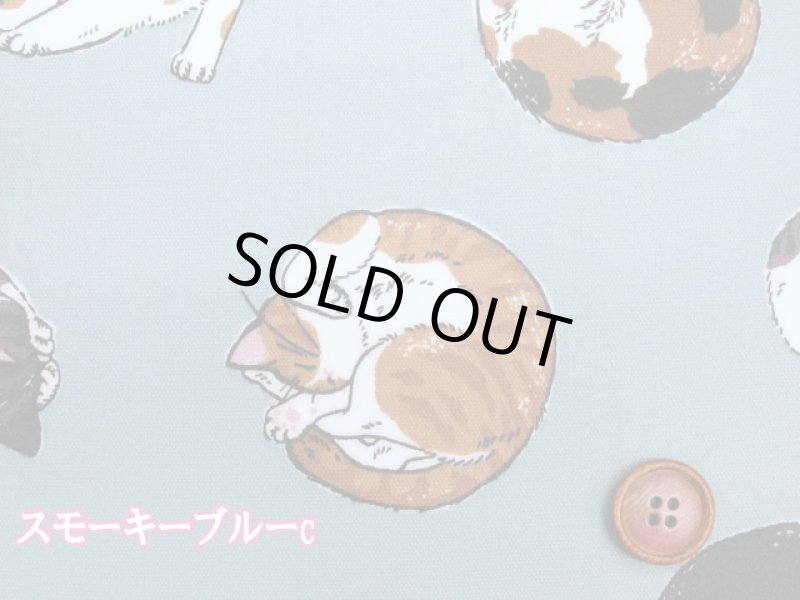 画像5: まんまるねこ 三毛猫・茶トラ・猫柄 オックス生地 ラミネート つや消し コスモテキスタイル (5)